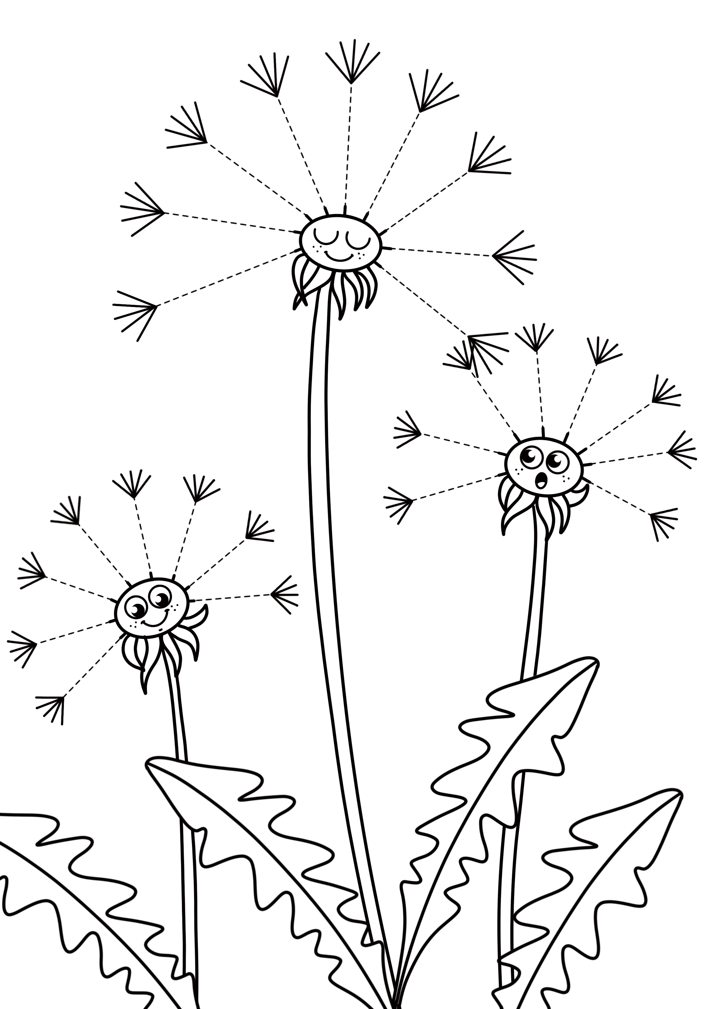Start Image