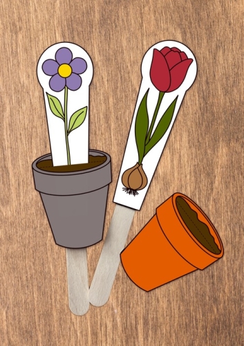 Květiny v květináči